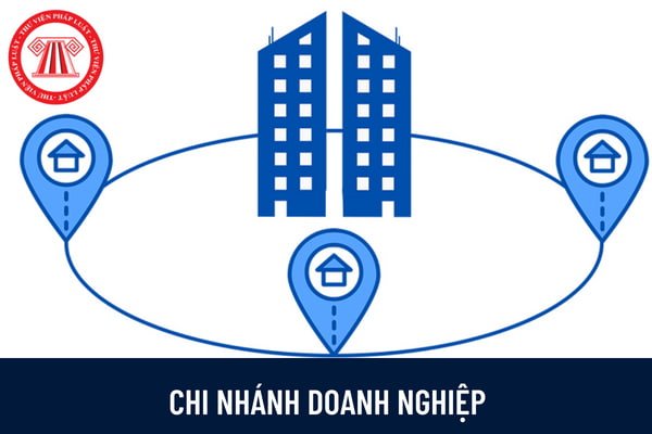 Địa chỉ chi nhánh công ty