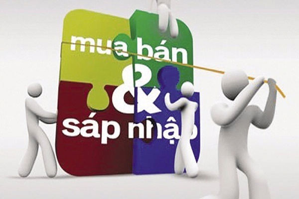 Các hình thức mua bán, sáp nhập công ty phổ biến hiện nay tại Việt Nam